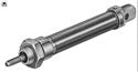 FESTO(bio)(zhn)ESNϵ